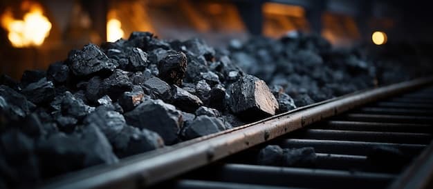 Coal Conveyor Belt - CSR Activity